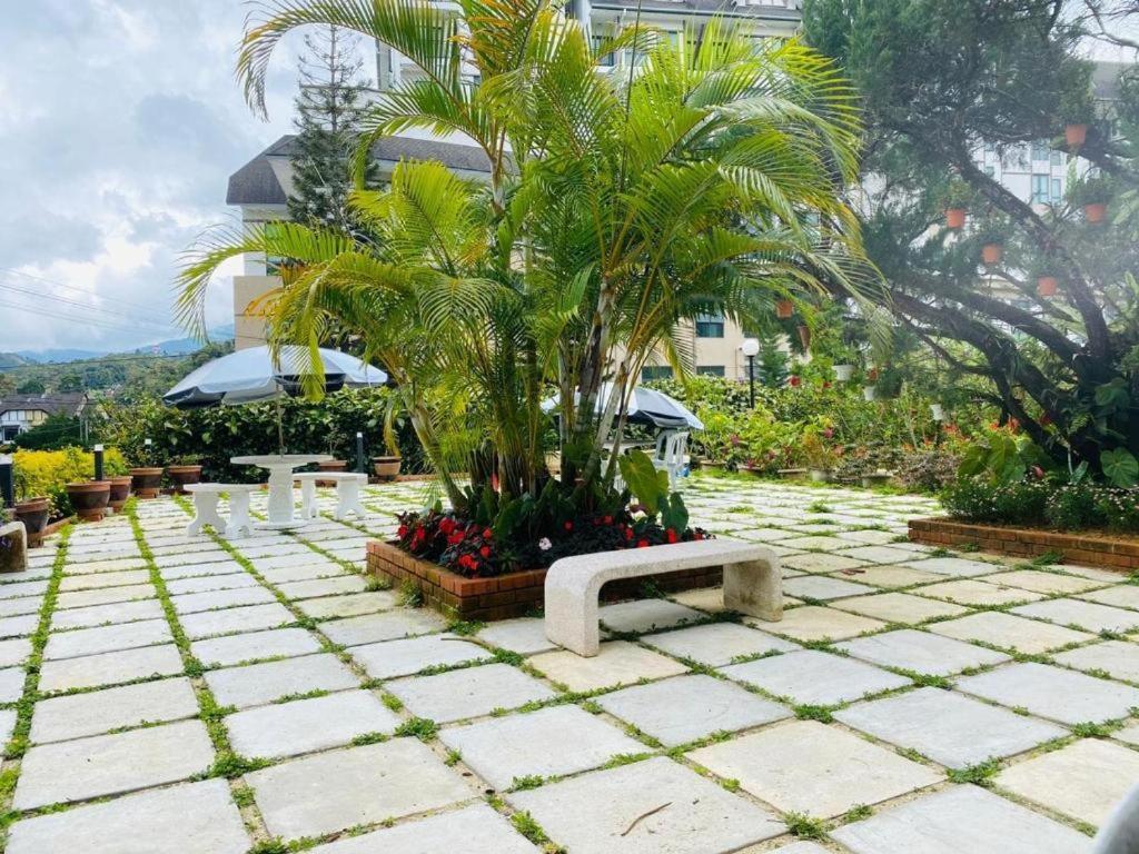 Hillview Inn Cameron Highlands Promo Tanah Rata Exteriör bild