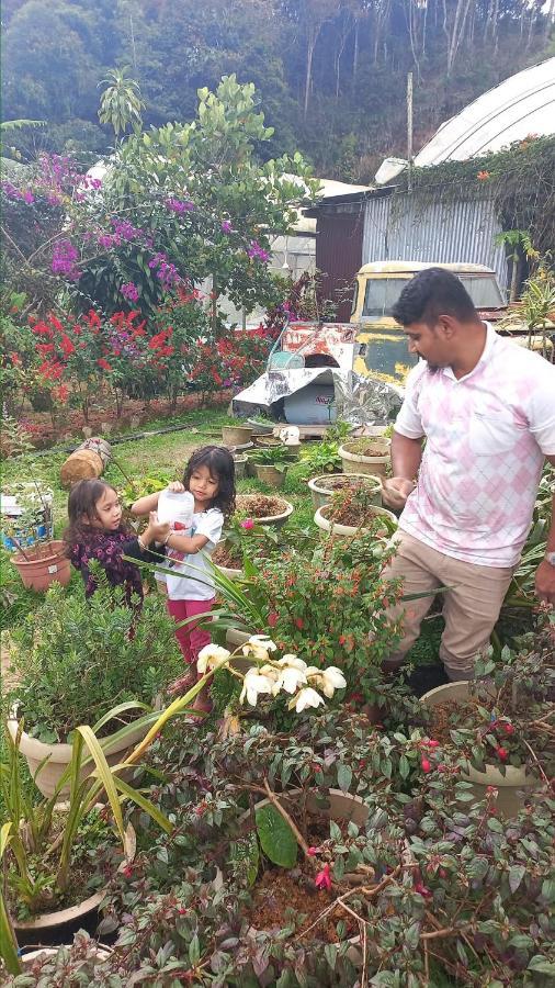 Hillview Inn Cameron Highlands Promo Tanah Rata Exteriör bild
